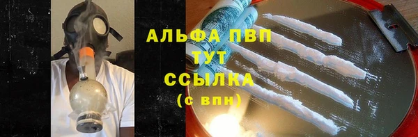 стаф Нефтегорск