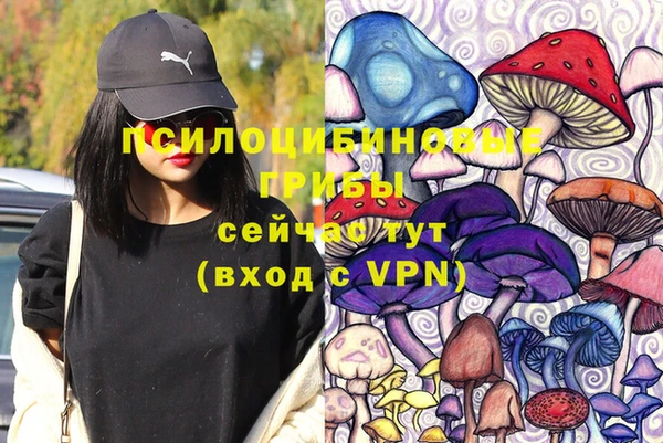 ECSTASY Нея