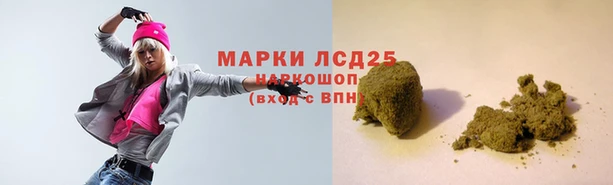 индика Инсар