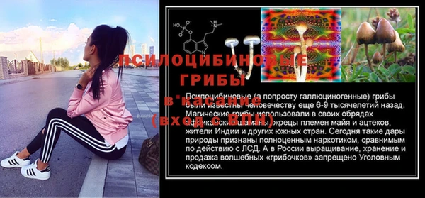 стаф Нефтегорск
