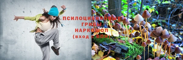 ПСИЛОЦИБИНОВЫЕ ГРИБЫ Нефтекумск