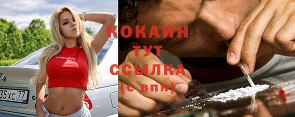 стаф Нефтегорск